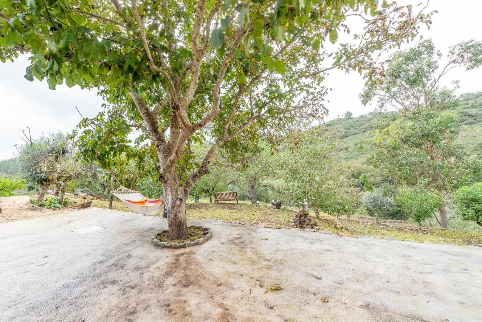 Countryside Paradise In Bucelas エクステリア 写真